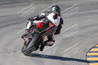 media/Feb-04-2024-SoCal Trackdays (Sun) [[91d6515b1d]]/4-Bowl Backside (11am)/